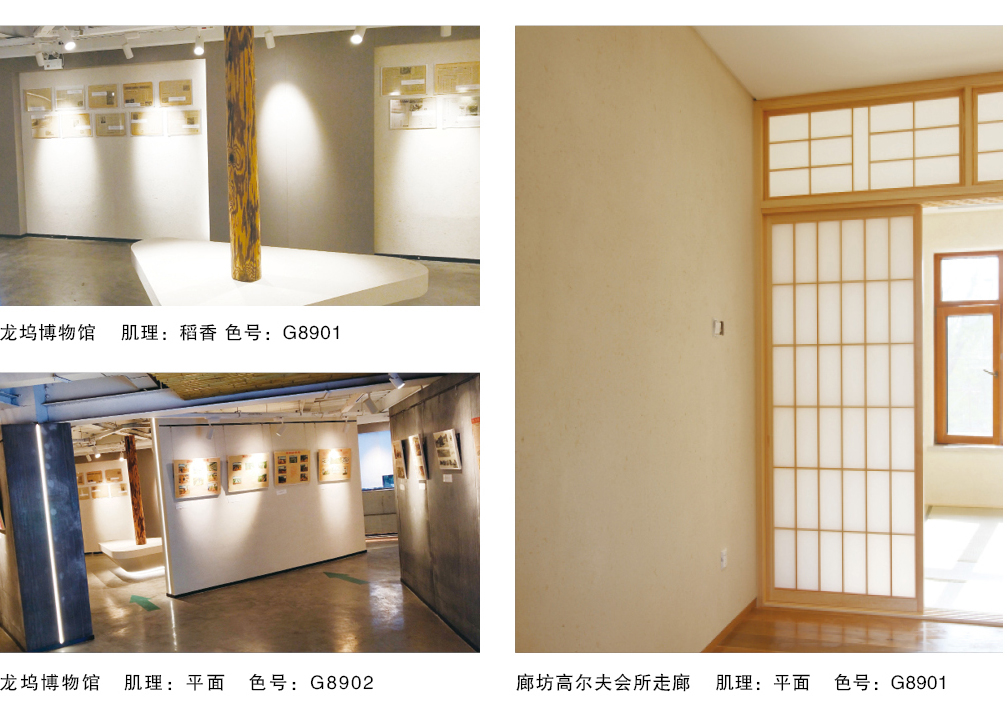 泰斯特素米礫灰泥G830/G890系列產品典型案例龍塢博物館/高爾夫會所